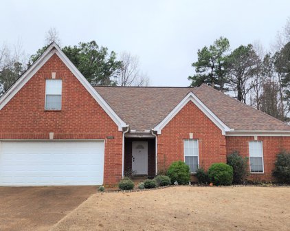 9564 Taylor Drive, Olive Branch