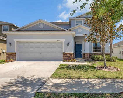 16620 Magnolia Reserve Place, Wimauma