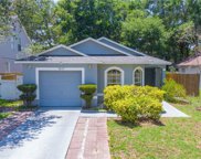 9877 Morris Glen Way, Temple Terrace image