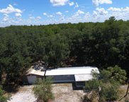 393 Ne 576th St 32680, Old Town image