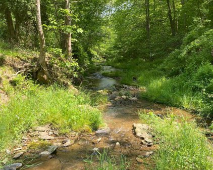 11221 Muddy Creek Forks Rd, Airville