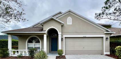 30036 Bermuda Dunes Way, Wesley Chapel