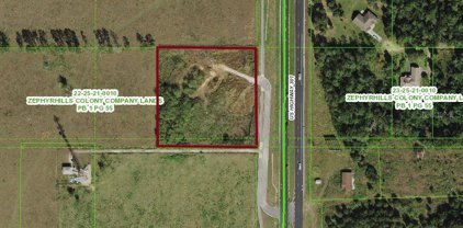 9515 Us Highway 301, Dade City