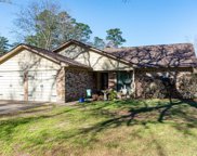 231 Loon River Drive, Houston image