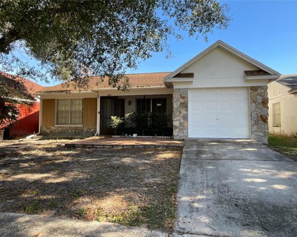 10005 Fawn Grove Place, Tampa