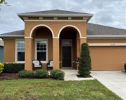 32543 Harmony Oaks Drive, Wesley Chapel image