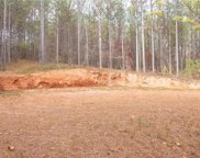 2224 Four Mile Church Road, Ball Ground image