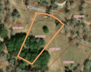 125 Timber Heights, La Vernia image