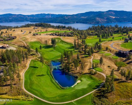 L239 Citrine, Coeur d'Alene