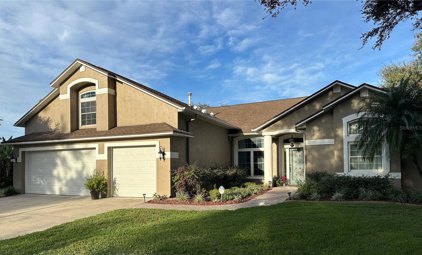 8629 Herons Cove Place, Tampa