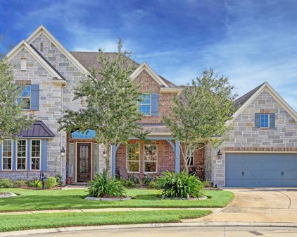 1425 Summer Field Lane, Friendswood