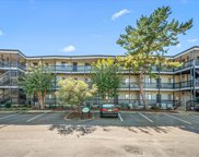119 Old Landing Rd Unit #303G, Ocean City image