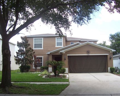 31007 Temple Stand Avenue, Wesley Chapel