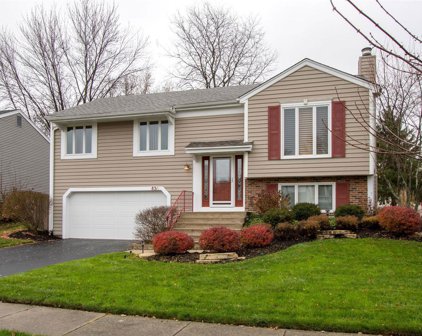 831 S Cleburne Avenue, Bartlett