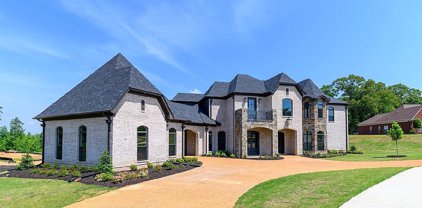 8098 Bella Donna Circle, Olive Branch