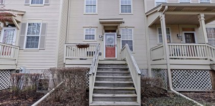 624 Littleton Trail Unit #23-3, Elgin