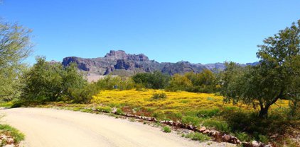 318 S Sixshooter Road, Apache Junction