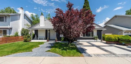 1752 Meadowvale Way, Sparks