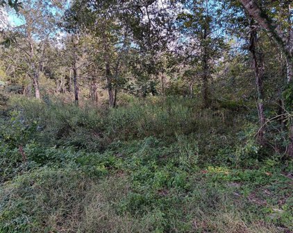 Oak Colony Drive, Angleton
