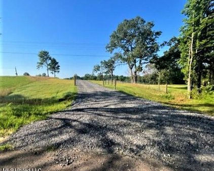 12239 Old Byhalia Road, Byhalia