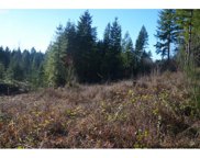 NE 159 AVE, Yacolt image