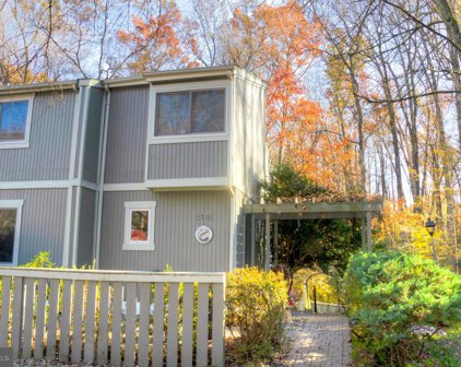 2310 Millennium Ln, Reston