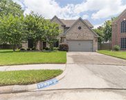 13923 Falling Tree Ct, Houston image