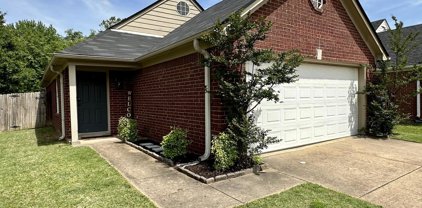 5690 Steffani Drive, Southaven