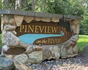9055 Pineview River Drive Lot #12, Linden image