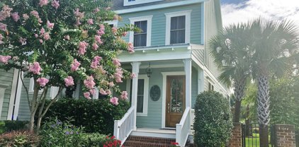 1655 Paradise Lake Drive, Mount Pleasant