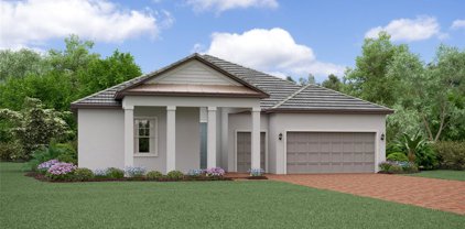32279 Cannon Rush Drive, San Antonio