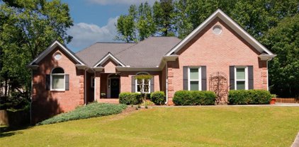 5095 Winding Rose Drive, Suwanee