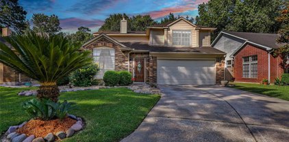 4919 Dobbin Springs Lane, Kingwood