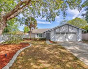 10505 Nile Court, Tampa image