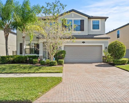 1926 Nature View Drive, Lutz