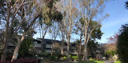 237 Boardwalk AVE B, San Bruno