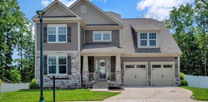 552 Gladiola Way, Stafford