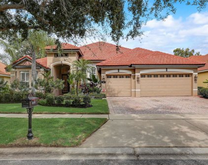 11515 Delwick Drive, Windermere