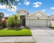 11122 Ancient Futures Drive, Tampa image