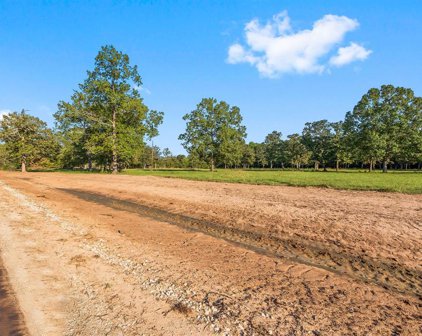 Lot 17 Alans Memorial Lane, New Waverly