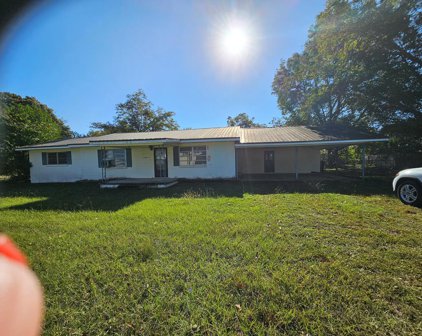 77 Day St, Napier Field
