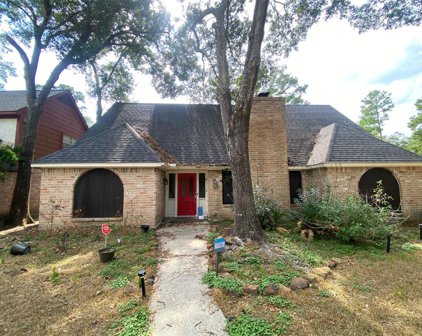 18215 Mahogany Forest Drive, Spring