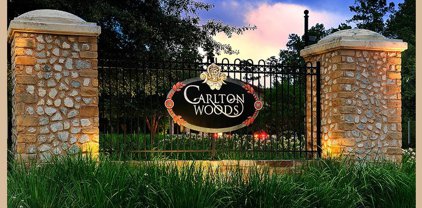 47 Pronghorn Place, The Woodlands