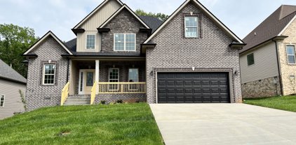 117 Jackbat Court, Clarksville