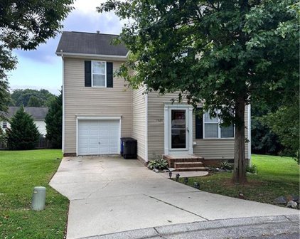1325 Camden Place Court, Winston Salem
