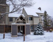 43 High Point Drive Unit #D21, Stratton image