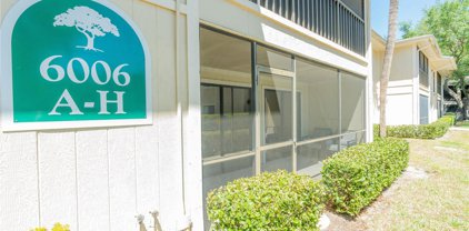6006 Laketree Lane Unit E, Temple Terrace