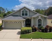 10149 Heather Sound Drive, Tampa image