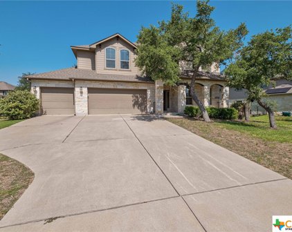 17711 Linkview Drive, Dripping Springs