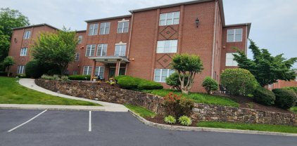 3050 Mcvitty Forest  Dr Unit #209, Roanoke